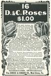 D&CRoses_TheAmericanMonthlyReviewofReviews041902wm