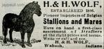 H&HWolfStallions_TheOhioFarmer03101906wm