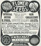 BuckbeeFlowerSeeds_McClures031899wm